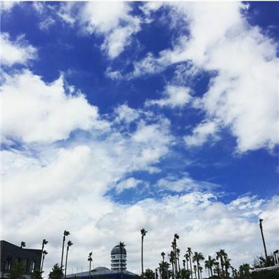 mg娱乐电子游戏官网