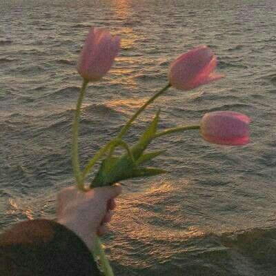 manbetx手机网页登入