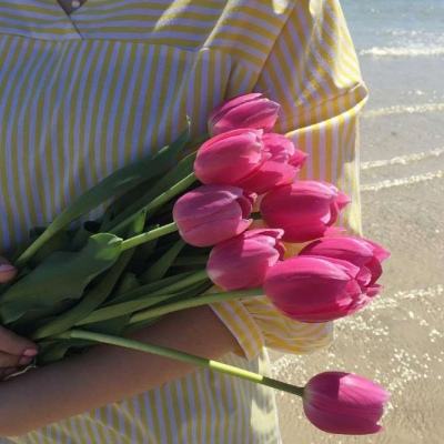 澳门捕鱼平台网页游戏在线app官方入口